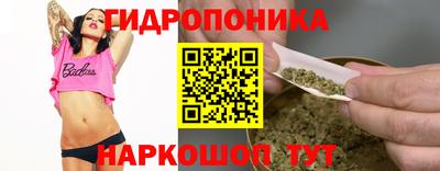 индика Ликино-Дулёво