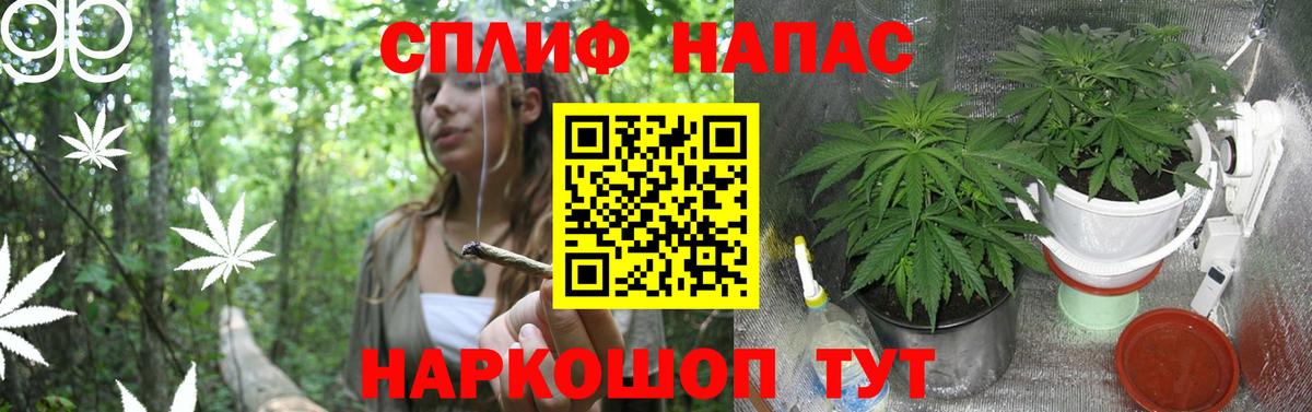 Иваново  Канабис планчик  Конопля VHQ  МАРИХУАНА тримм  Шишки марихуана план  Вход с VPN 